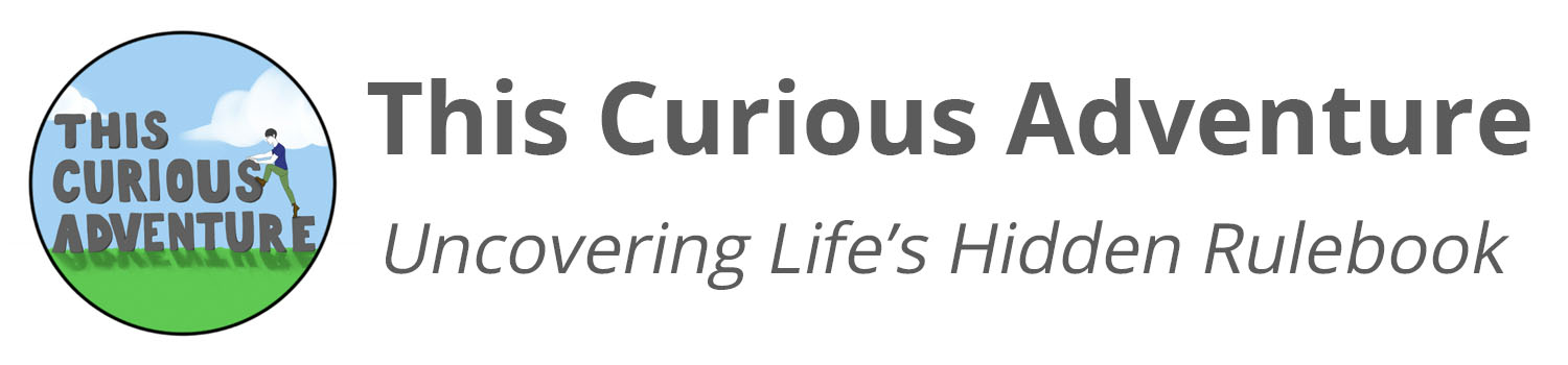 This Curious Adventure